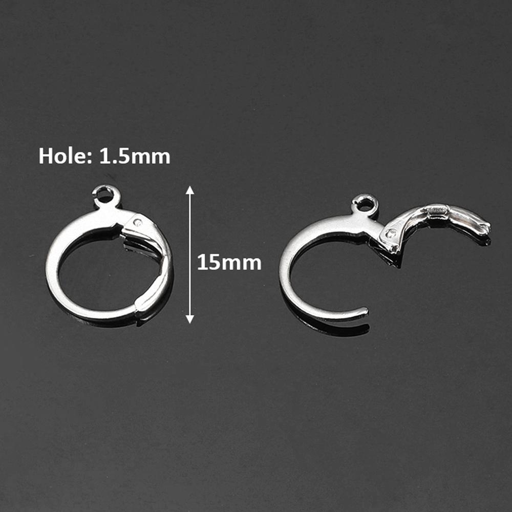 

20pcs Stainless Steel French Earring Lever Back Ear Wire Hoop Open Loop Leverback Earring Hooks for Earrings Jewelry Making DIY
