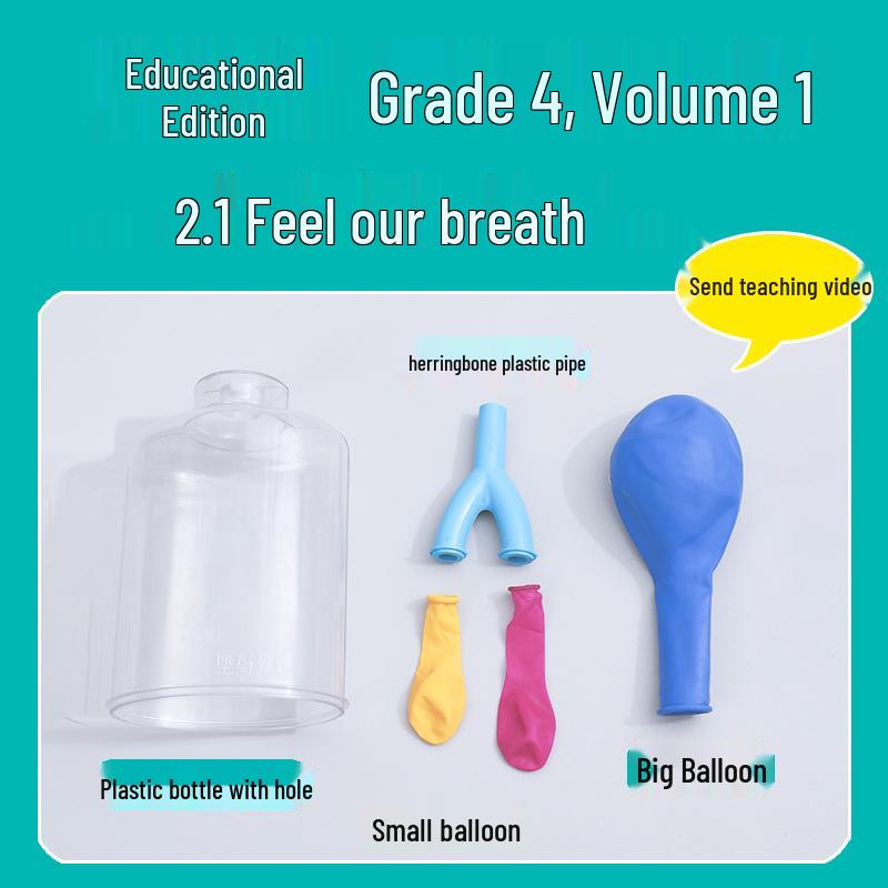 

Набор для научных экспериментов для 4 класса: Почувствуй наше дыхание