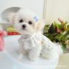 Pet clothes lace cotton vest spring and summer ins Japanese and Korean cats than bears clothes cat and dog clothes