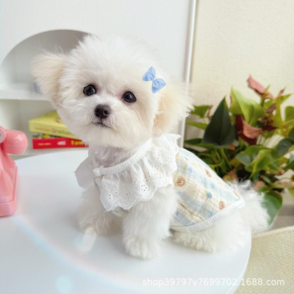 Pet clothes lace cotton vest spring and summer ins Japanese and Korean cats than bears clothes cat and dog clothes