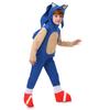 Sonic Costumes Kids Sonic Kid Supersonic Rat Costumes Halloween Hedgehog Sonic Costumes