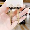 High End Geometric Block Tassel Earrings with Feminine Temperament and Personality, Long Style To Show Off Face and Slim Earrings, Ear Accessories