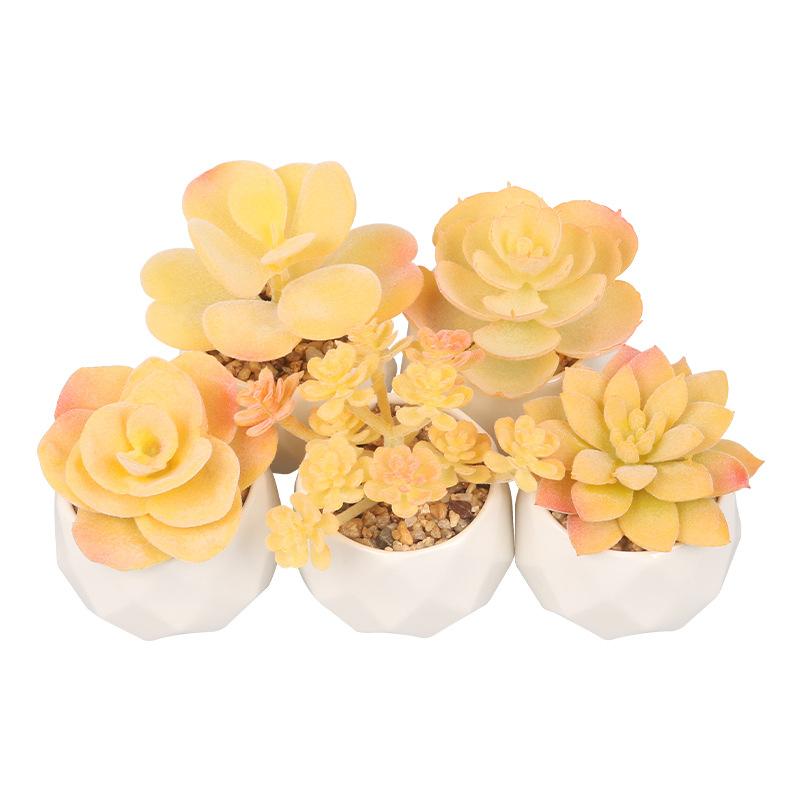 Simulation Sukkulentenpflanze Keramik Topfpflanze Künstliche Sukkulente Bonsai Künstliche Blume Innendekoration Ornament Grüne Pflanzen