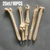 5Pcs/Pack Creative Bone Ballpoint Pens Hilarious Fun Office Stationery Supplies Nurses Doctors Office Use Writing Ink Press Pen