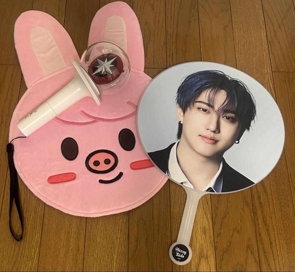 [USED] Stray Kids Changbin fan, fan cover, penlight ver.2