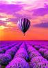 Ob_L_127 Diamond Painting 30X40 - Natura, Balloon Over the Heath