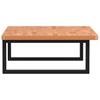 Vidaxl Wall Shelf Under Sink, Steel and Solid Beech Wood