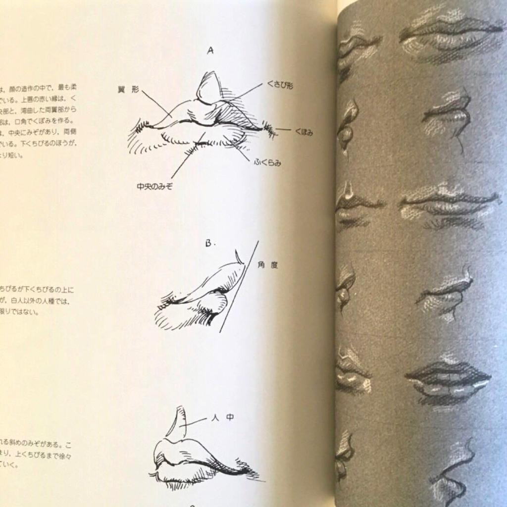 [GEBRAUCHT] Aktzeichnen 430 Schnitte Struktur Grundlegendes Skelett-Diagramm Erklärung Illustration Akt