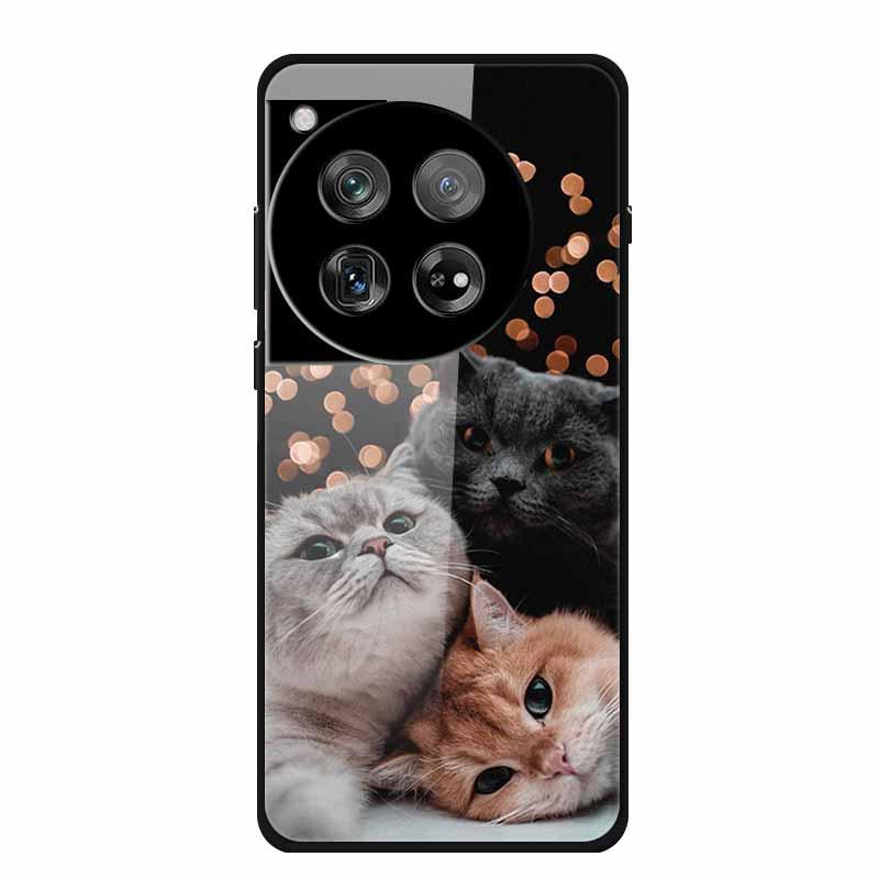 Personalized Seven-Colored Tempered Glass Phone Case for OnePlus 12 - Unisex