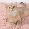 Winter Warm Klein/Mittel Welpen Katzen Hunde Teppich Flauschig Plüsch Haustier Weiche Decke