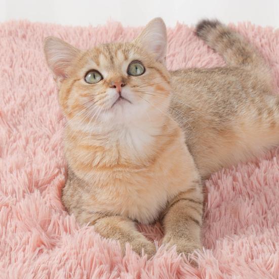Winter Warm Klein/Mittel Welpen Katzen Hunde Teppich Flauschig Plüsch Haustier Weiche Decke