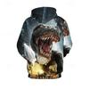 Boys Dinosaur Hoodie Long Sleeve Fall Active Polyester Kids Regular Fit