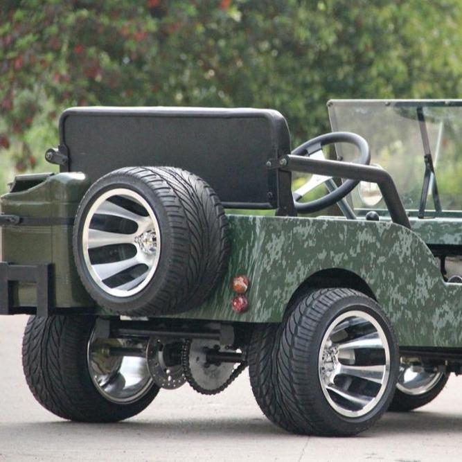 800W/1200W Electric Mini All-Terrain Children's UTV/ATV