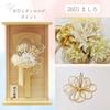 Hagoita Case Hair Hair Ornament Hana Asobi Mashiro (battledore) Decoration, Ornament, Hagoita, 2601,