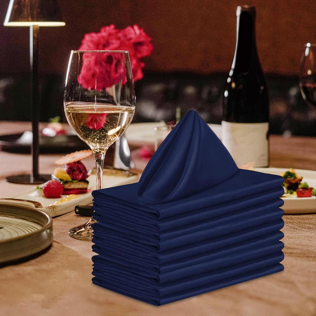 Set of 10 Elegant Napkins for Weddings and Special Events