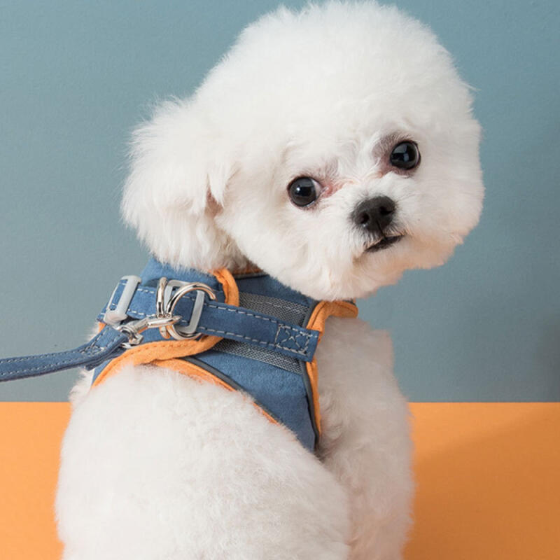 Pet Reflective Harness + Leash (M) (Orange + Blue)