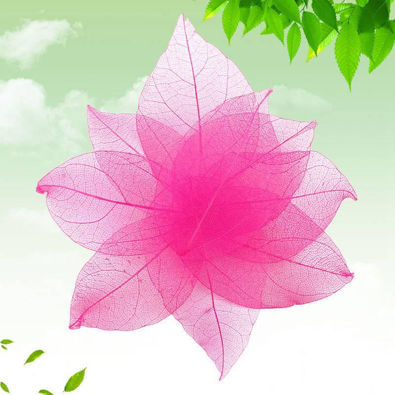 

Тиснение 30 шт. Сухоцветы Чехол для телефона DIY Орнамент Аксессуары Ручная работа Материал Натуральный Алмаз Вены Изготовление Тиснение 4-9cm розы красного