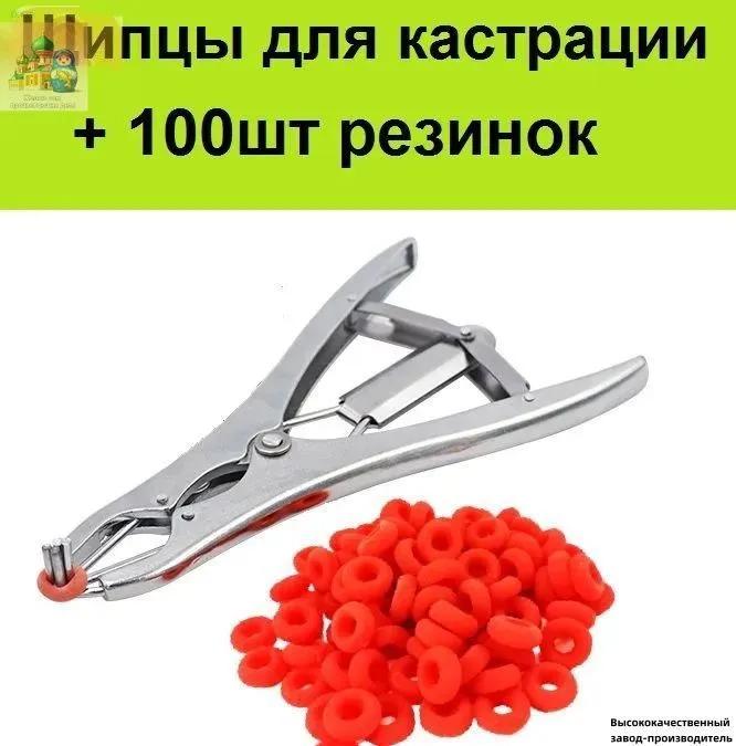 Shearing Machine