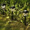 Solar-Powered Outdoor Garden and Courtyard Lamp with Waterproof Plug