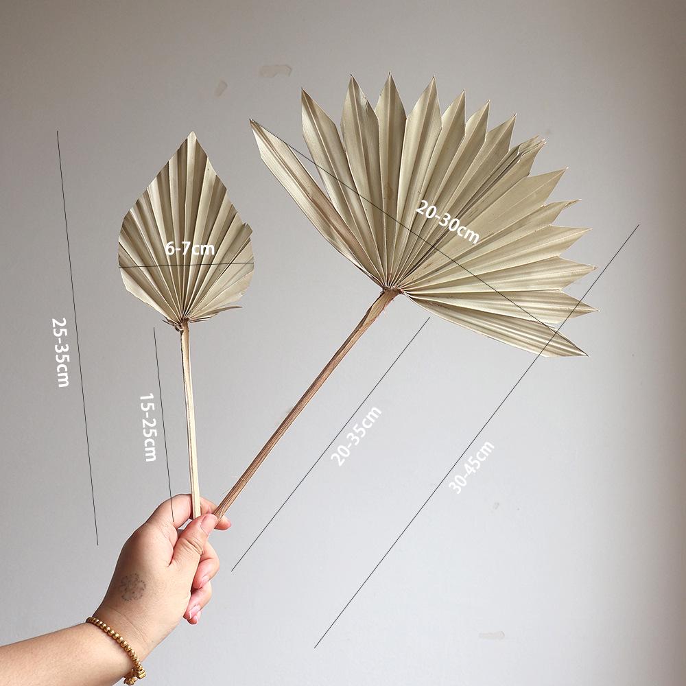 Wabi-sabi Dried Flower Arrangement: Reed, Pine Cones, Cotton, Wheat, Poppy Bouquet