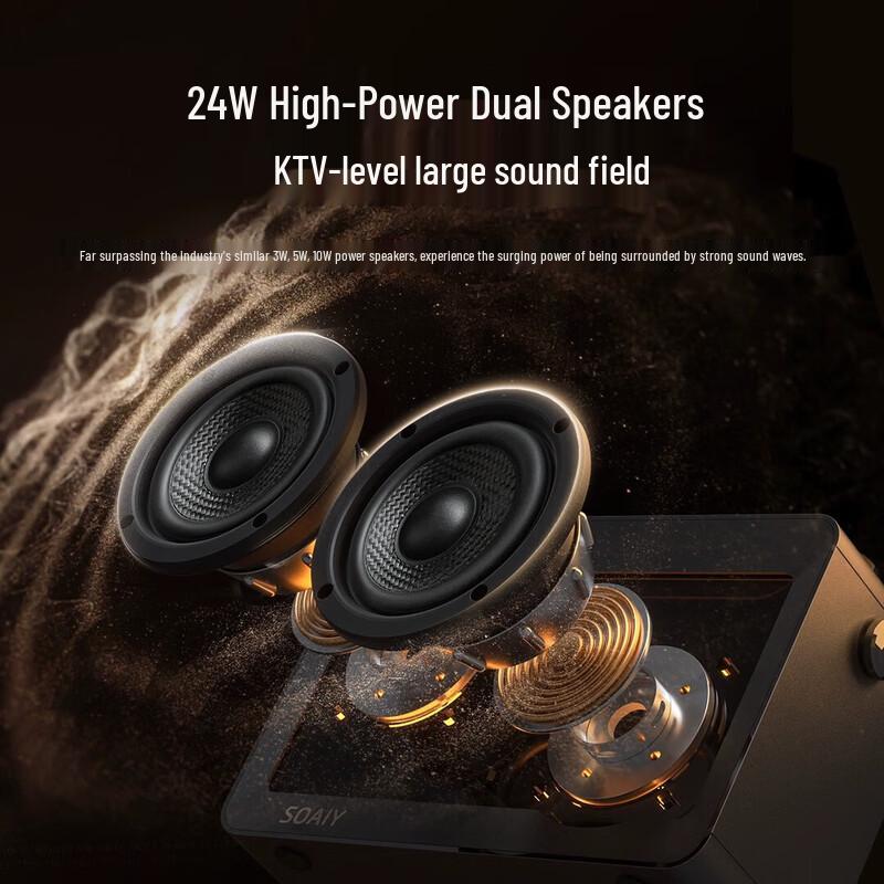 Soaiy SH06 Portable K-Song Speaker (CN version)