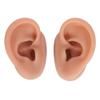 Silicone Ear Model Lifelike Flexible Reusable Left Right Ear Piercing Practice Model for Earrings Earphones Display