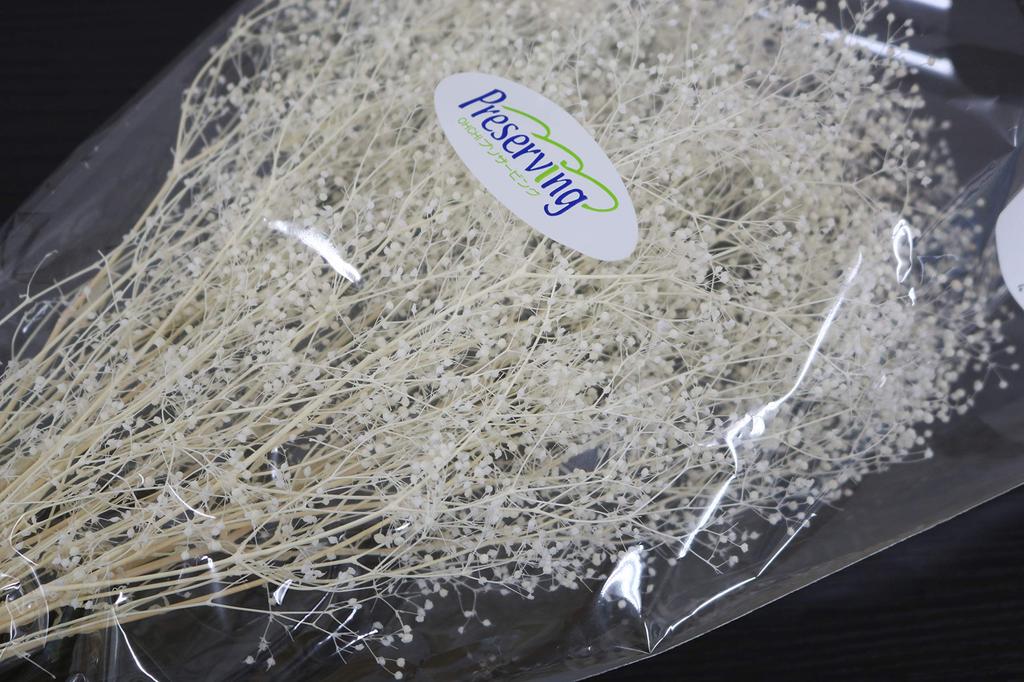 Takeda Large Length 350mm Baby's Breath, White, Bundle, Approx. [40-0312]