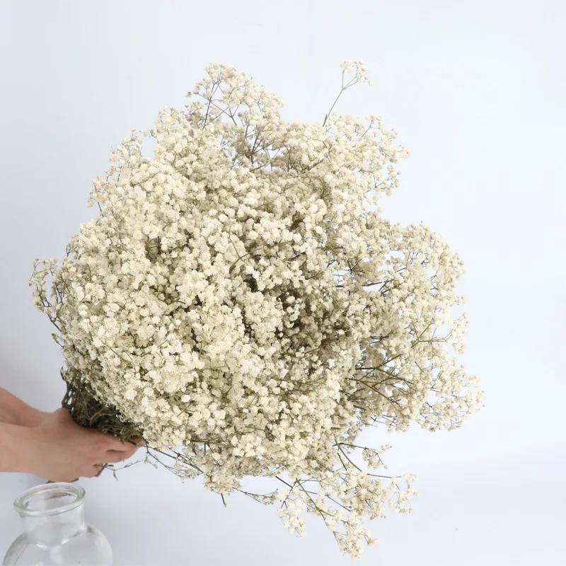 Dried Flowers Babys Breath Bouquet Ivory White Flowers Natural Gypsophila Branches for Home Decor Wedding Flowers Bulk for Vase