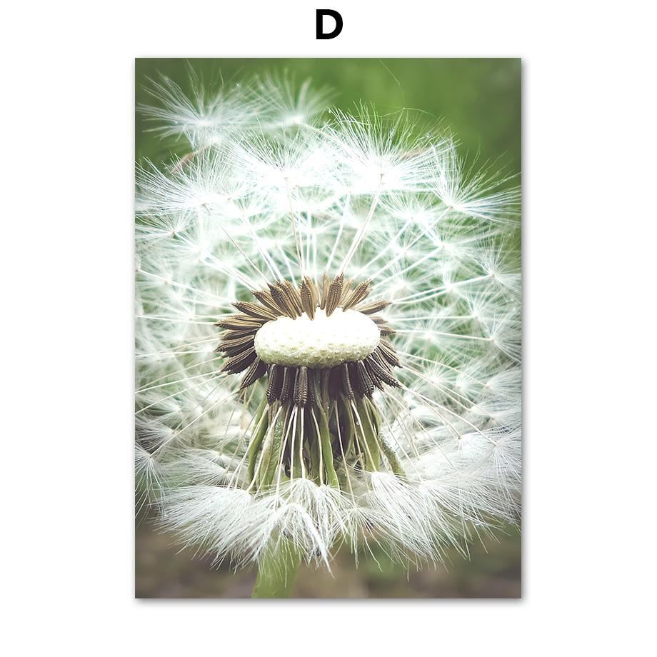 

Природа лес озеро олень лиса шлейф одуванчика цветы постеры с принтами холст живопись настенные художественные фотографии для гостиной домашний декор 21X30cm No Frame