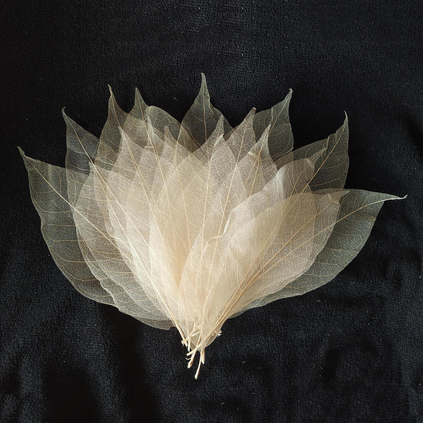 Резиновые разноцветные листья-скелеты для украшения осенних вечеринок своими руками — фото 5