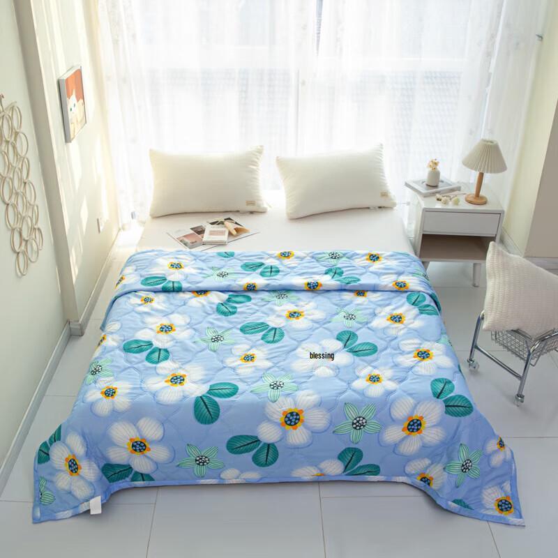

Muxinzi Skin-Friendly Summer Quilt