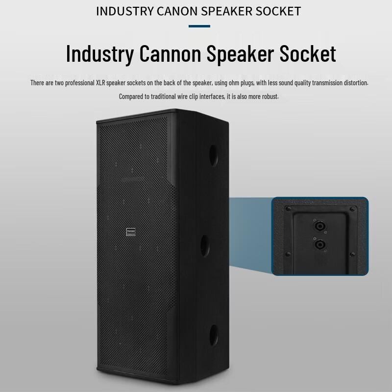 KAXISAIER Professional Passive Full-Range Speaker CN Plug (adapter Included)