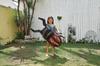 IGARASHI Giant Stag Beetle Float 105 X 66cm FRB-181V