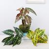 Artificial green plant potted plant Nordic living room decoration fake green plant autumn taro leaves artificial potted plant