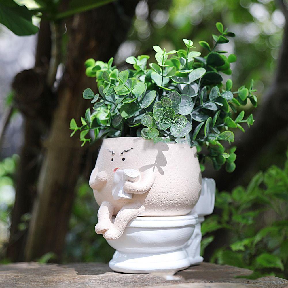 brazil philodendron price Philodendron scandens ' Brazil ' for Sale