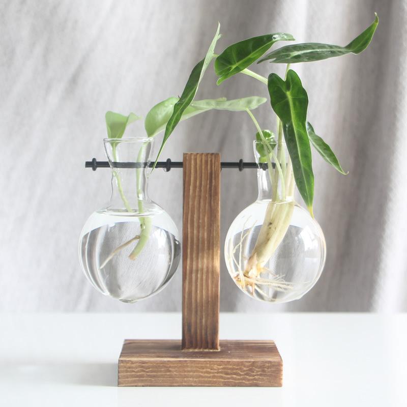 Hydroponic Plant Terrarium Vase Durable Clear Glass Ornament for Home Office Desktop Living Room Decoration