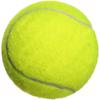 LISM Training Tennis Ball with Rope