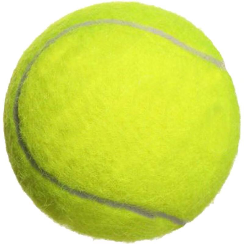 LISM Training Tennis Ball with Rope