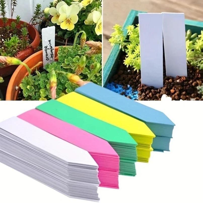 100 Pezzi Etichette per Piante da Giardino Accessori per Piante Vasi da Fiori Etichette di Plastica per Piante Etichette per Vivaio Vassoio Etichette Marcatore Strumento DIY