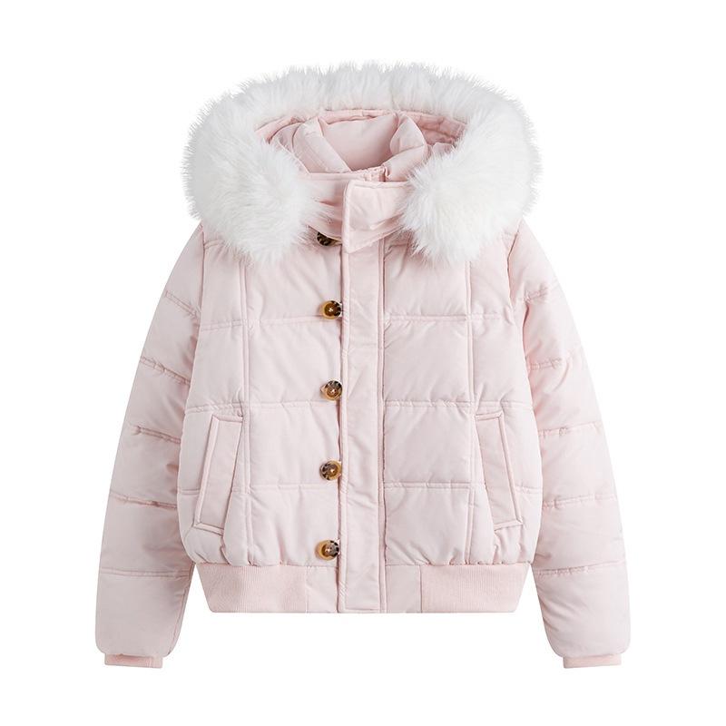 Winter new hooded big fur collar short cotton clothes Korean version student cotton clothes women's jacket short