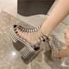 Fashion Thick Heel Sandals Women 2024 Summer New Fish Mouth High Heels After Zipper Hollow Cold Boots Ultra High Heel Roman Sandals