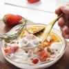 Food Grade Metal Dessert Spoon Unique Fish-Shaped Design Festive Holiday Buffets
