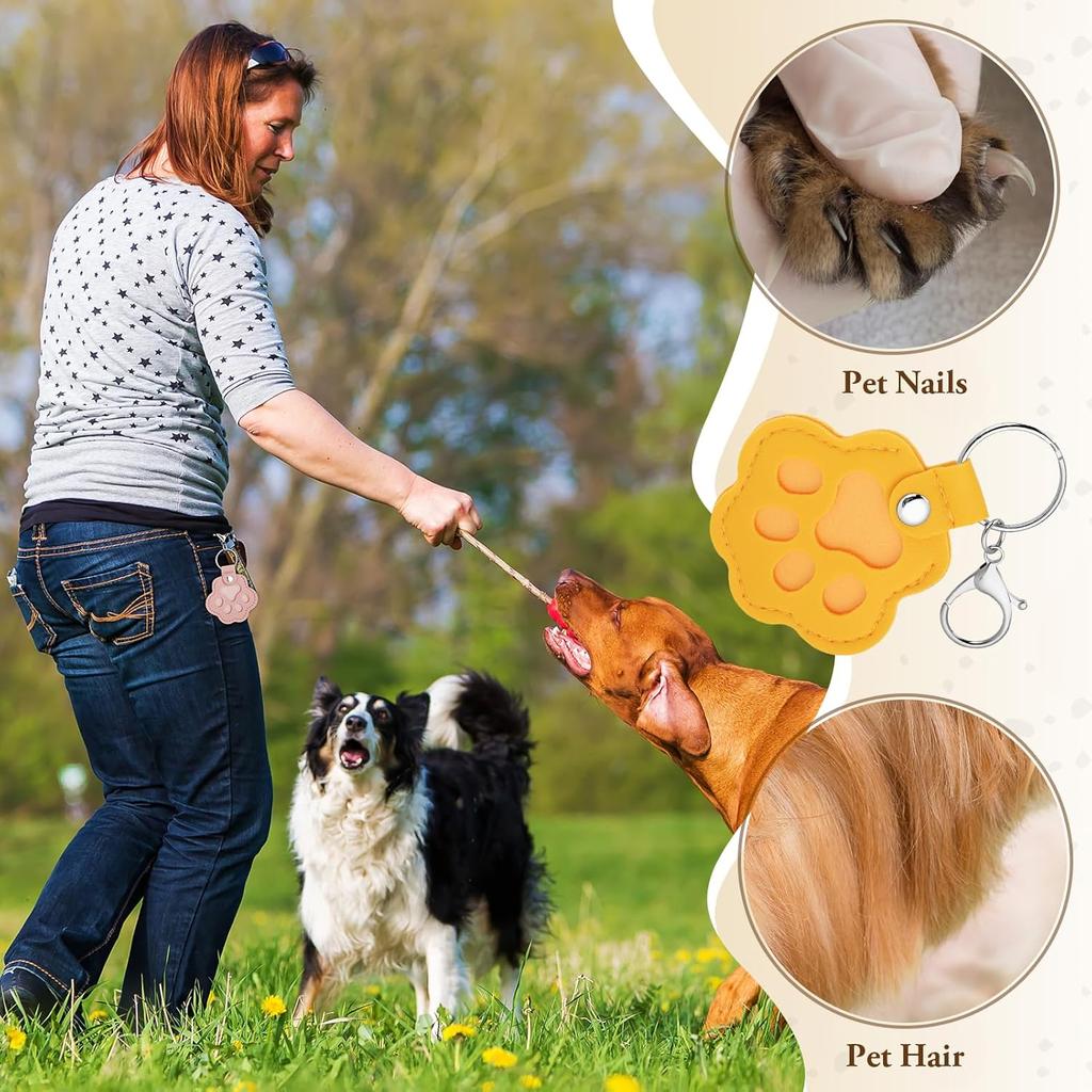 Colorful 10-piece Pet Commemorative Set Pet Hair Leather Storage Hanging Complimentary One Gray Pendant (Including Pet Hair Storage Bag, Cat and Dog