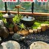 Peixes e animais aquáticos – Decoração de aquário