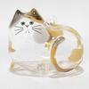 5Pcs Hair Memorial Storage Bottle Cat Cat Locket for Storing Fur
