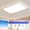 2025 LED Eye-Protecting Full Spectrum Ceiling Light for Bedroom and Living Room - Modern and Simple Design