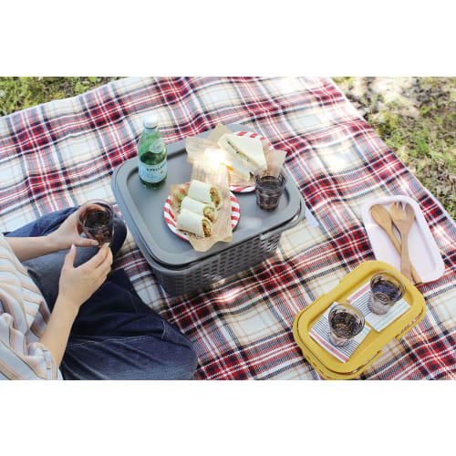 Hachimankasei Sceltevie Cestino Cavaccio RD S 238164