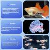 Floating Fish Breeding Box Plastic Mesh Design Safe Aquatic Habitat Isolation Tanks For Fry Shrimp Easy Setups Compacts