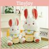 Adorable Bunny Fairy Plush Doll For Girls Soft And Cuddly Stuffed Toy Ideal Birthday Gift