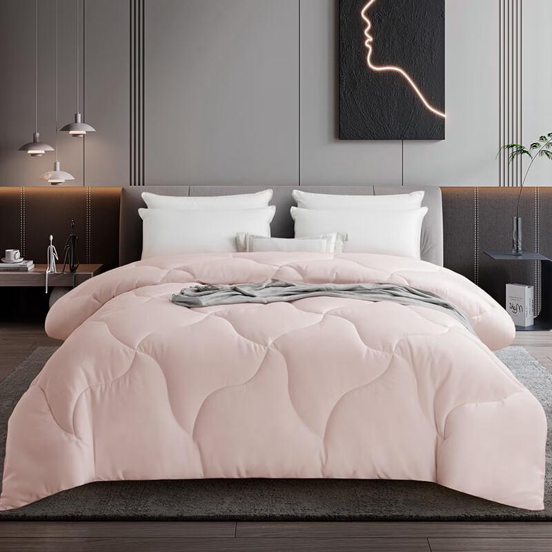 

YAMIAN Antibacterial Down-like Fiber Duvet Insert